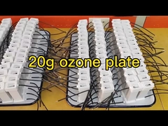 20g 8pcs Ozone Plate Gap Discharge เครื่องผลิตโอโซนเซรามิก